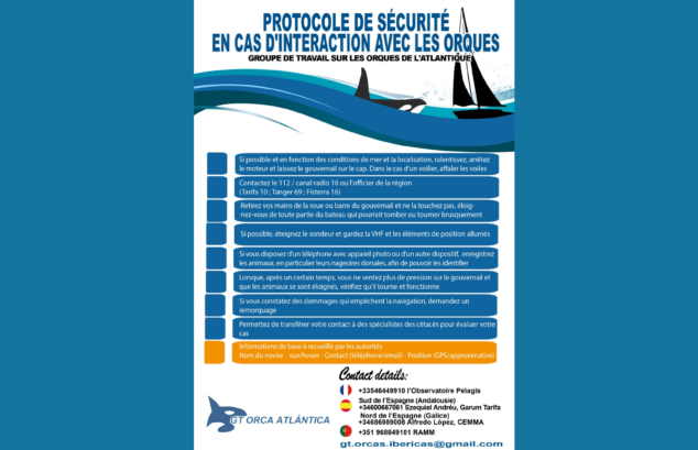 Protocole de sécurité en cas d’interaction avec des orques
