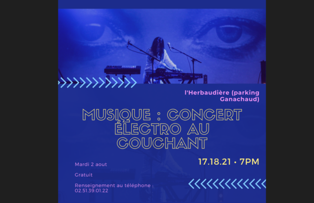 Concert électro au couchant