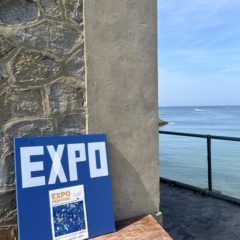 Une nouvelle expo au port ! 🎨
