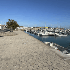 Travaux de réfection du quai : Une pause estivale pour un port 100 % accessible